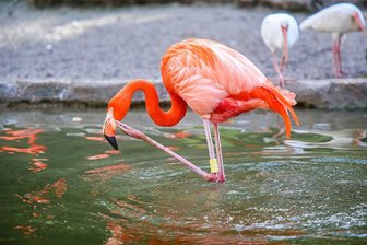 Parco Degli Uccelli