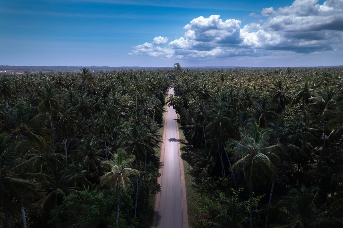 Ve větších městěch Zanzibaru jsou silnice udržované a po ostrovech je rozšířená doprava minibusy