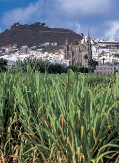 Gran Canaria Las Palmas