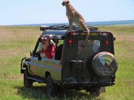 Uzijte-si-safari-v-Masai-Mara.jpg