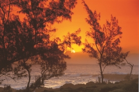 Vitejte-na-Reunionu,-zapady-slunce-tady-jsou-carovne.jpg