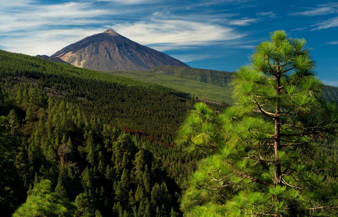 Foto-Tenerife-priroda.jpg