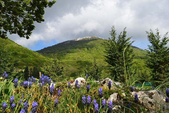 Albanie-fauna-priroda-hory-Dajti-nad-Tiranou.jpg