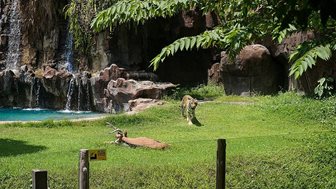 Safari Marine Park