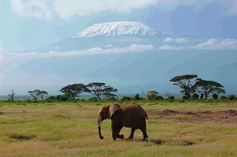 Národní parky Keňa, safari, sloni a Kilimandžáro