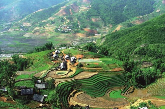 Typická vietnamská krajina Typicka-vietnamska-krajina.jpg