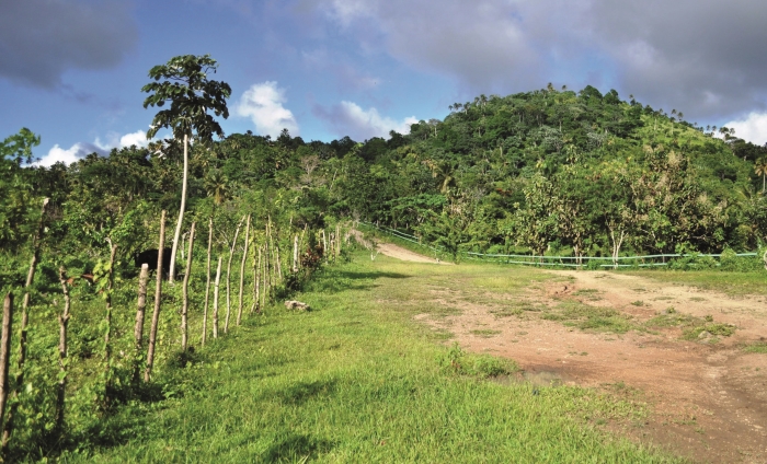 DominikanskaRep-Velka-cast-ostrova-Hispaniola-je-pokryta-zelenymi-lesy.jpg