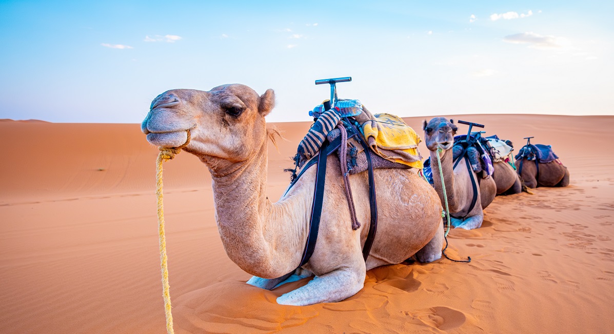 Maroko vám nabízí sportovní vyžití, koupání v oceánu i spoustu turistických atrakcí