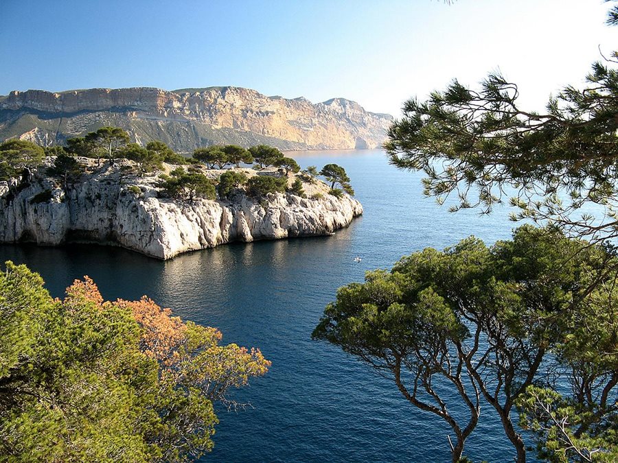 Francie, Cassis Francie, Cassis