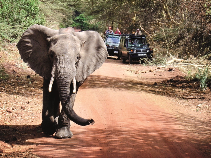 Staci-preplavit-se-na-kontinent-do-Tanzanie-a-muzete-si-uzit-nefalsovane-safari.jpg