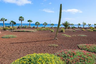 Pláž v Las Playitas na ostrově Fuerteventura, Kanárské ostrovy